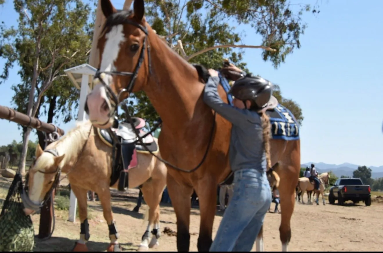 A rider and instructor prepare a horse outdoors at an EEF lesson.
