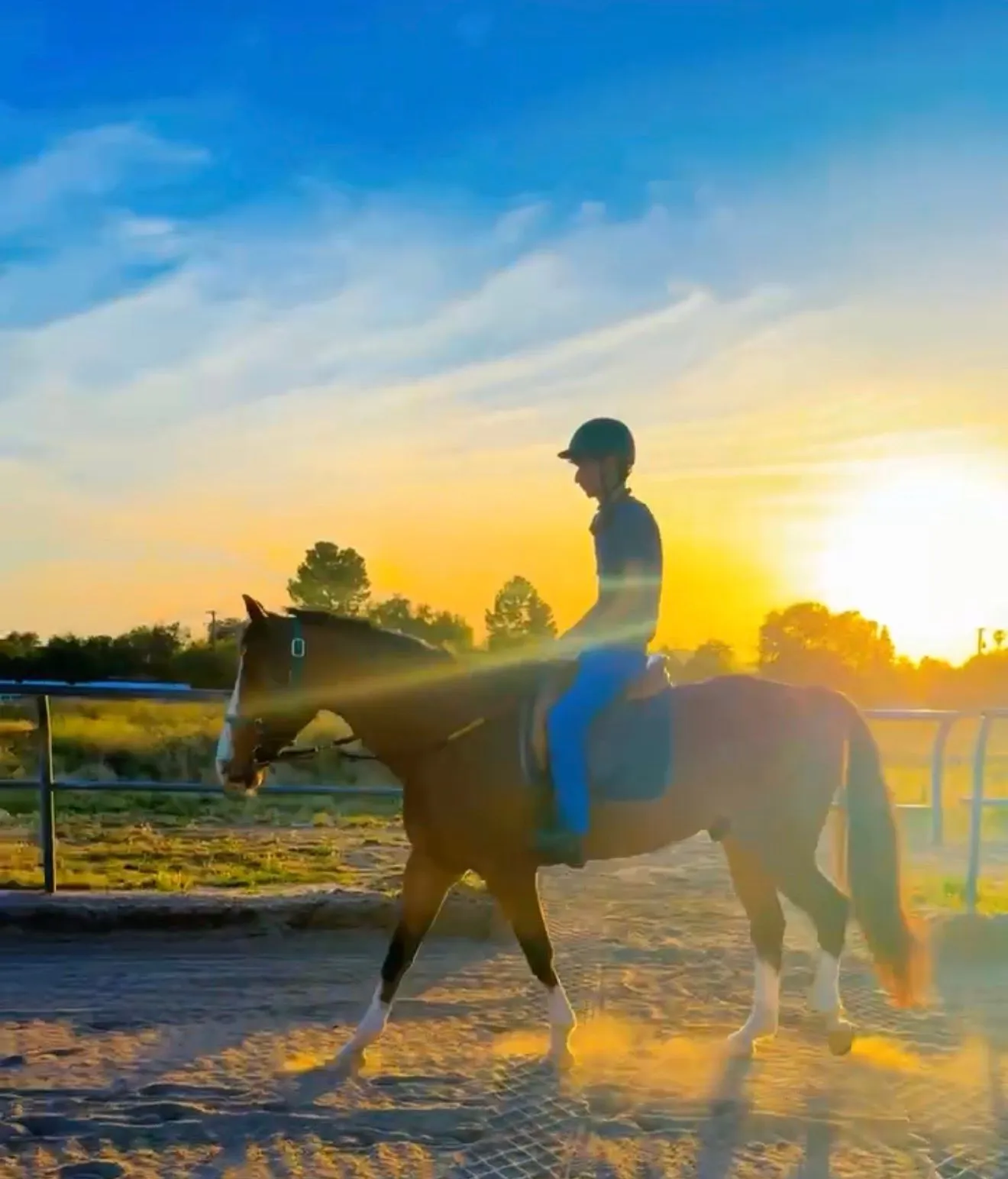 A rider and horse moving through an arena in warm evening light.