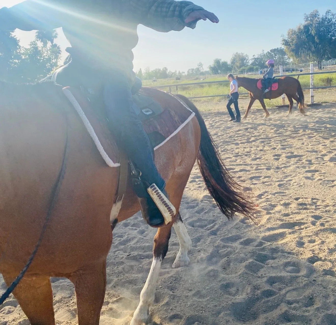 A horse and rider in an outdoor arena during an EEF lesson.